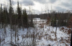 2740 S. Loxley Road, Houghton Lake, MI 48629