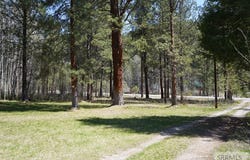 3036 Hwy 93, Gibbonsville, ID 83463