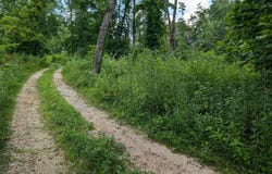 Lot 14 Hideaway Bay, Fountain Run, KY 42133