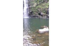 Papaaloa, HI 96780
