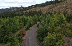 4 Conboy Heights, White Salmon, WA 98672