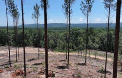 XXX Palmer Mountain Road, Caddo Gap, AR 71935