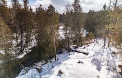 8993 S Straits Highway, Wolverine, MI 49799