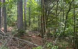 Lot 6 Baker Lane, Hiawassee, GA 30546