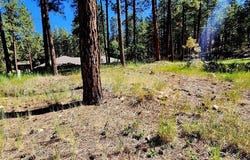 361 Hogan Circle, Durango, CO 81301