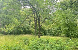 TBD FM 101 Road, Highland, AR 72542