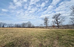 Barnum Drive, Cabool, MO 65689