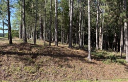 309 Vista Lane, McCormick, SC 29835