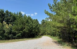 000 HWY 82, McCarley, MS 38967