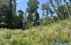 930 Dug Hill Road, Brownsboro, AL 35741