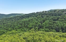 Tbd Fiver Lane, Hendersonville, NC 28792