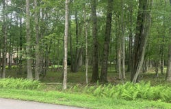Elliot Lane, Albrightsville, PA 18210