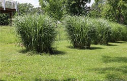1808 Aurora Street S, Eldon, MO 65026