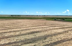 TBD TBD Strasburg Road, Strasburg, CO 80136