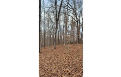Padbury  DR, Bella Vista, AR 72715