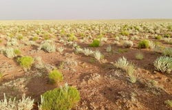 Tbd Hodges Ln 39.05 Acres, Holbrook, AZ 86025