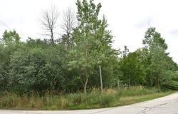 11665 Orchard Road, Willow Springs, IL 60480