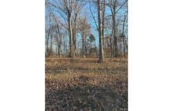 28 Wagon Creek Loop, Creal Springs, IL 62922