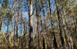 1059 Candy Lane, McComb, MS 39648