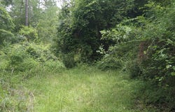 703 Parrish, Sparks, GA 31647