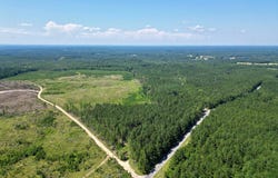 NHN Jim Stanford Rd., Poplarville, MS 39470