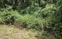 8504 E Henderson Trail, Inverness, FL 34450