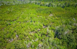 Tract 1 Scuffletown Road, Other, GA 31518