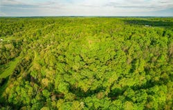 0 E Little Forest Run Rd., Reedsville, OH 45772