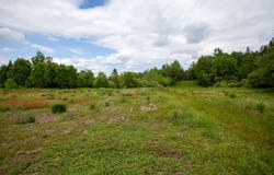 6689-6 NY-30, Indian Lake, NY 12842