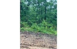 68 Madison CR 410, Fredericktown, MO 63645