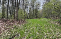 Kansas Hollow Road, Bolivar, NY 14715