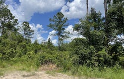 633 Sams, Hortense, GA 31543