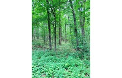 0 County Road 450, Poplar Bluff, MO 63901