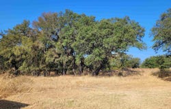 S Water Street, Burnet, TX 78611