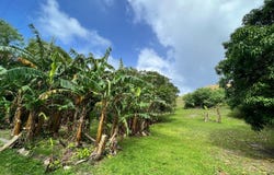 Lot 416-R2, Malesso, GU 96915