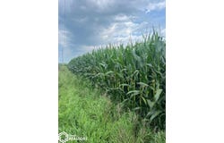 20 320th Avenue, Ellston, IA 50074