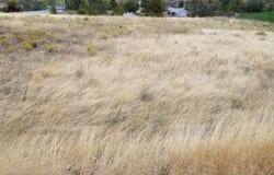 1225 Fairway Loop, Arlington, OR 97812