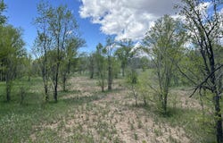 412 S Grand Avenue, Las Vegas, NM 87701