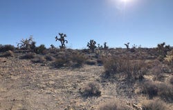 W Sarari Drive lot: 301, Meadview, AZ 86444