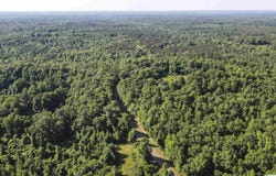 5248 COUNTY ROAD 14, UNION SPRINGS, AL 36089
