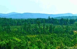 251 Polk Road 72, Mena, AR 71953