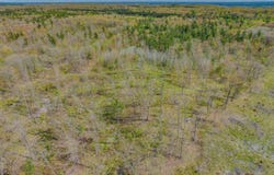 0 Clear Lake Road, West Branch, MI 48661