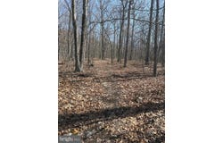 SHOTGUN SPRINGS, NEW MARKET, VA 22844
