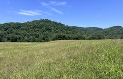 Brimstone Road, Robbins, TN 37852