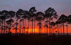 4905 SR 30-A, Port St. Joe, FL 32456