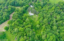 4815 Webb Store Road, Hornbeak, TN 38232