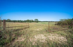 Ora Asa Johnson Rd., Harleton, TX 75651