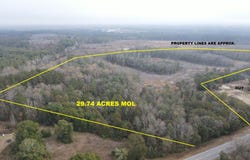 29.74 Acres Highway 87, Samson, AL 36477
