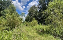 TBD Spring Creek Dr, Nacogdoches, TX 75965