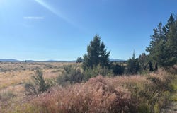 Oregon Pines Road, Sprague River, OR 97639